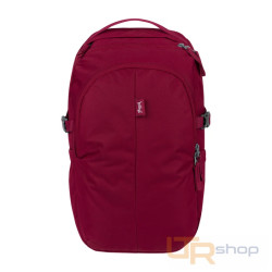 34971 DASH multifunkční elegantní batoh BAAGL