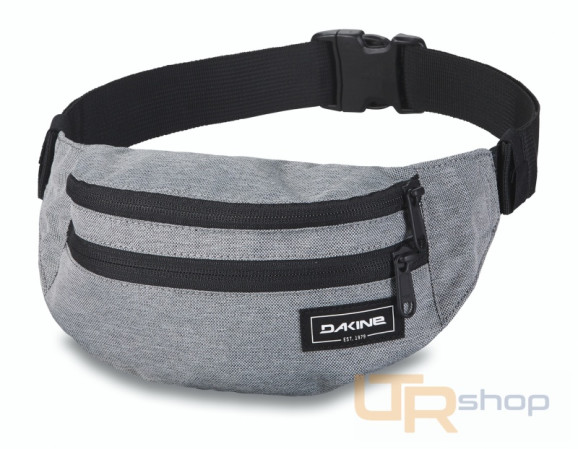 detail CLASSIC HIP PACK ledvinka Dakine