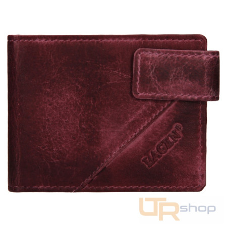 detail RX-10/D vizitkář LAGEN