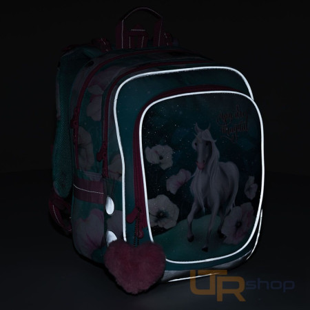 detail ENDY 22053 G školní batoh Topgal