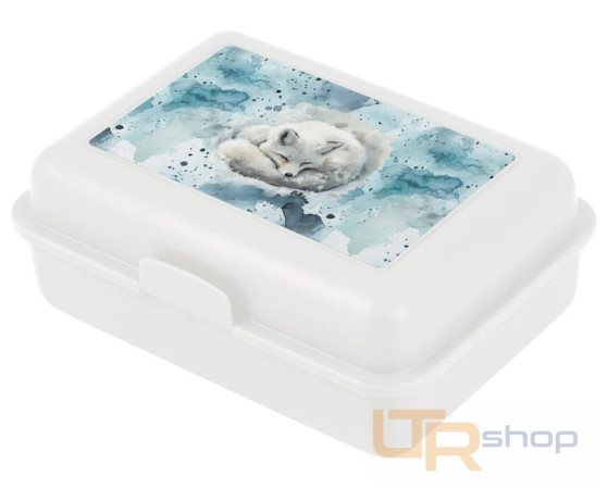 detail A-36205 box na svačinu Polar BAAGL
